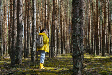 A young woman in a yellow raincoat, yellow boots and a backpack walks through the forest and looks around from the back