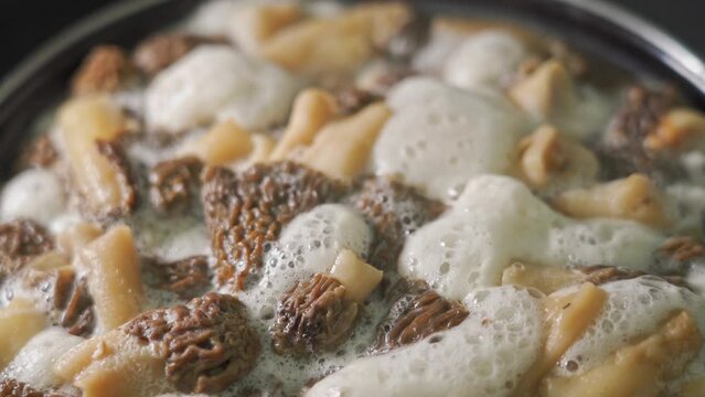 Cooking morel mushrooms in a saucepan with boiling water