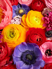 Spring blossom flowers background