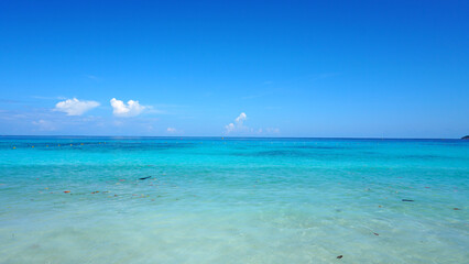 Turquoise ocean water. Leaves are floating. In the distance, buoys with a net against dangerous marine fish and jellyfish. White clouds, blue sky. The water shimmers from blue to dark blue. Similans