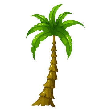 Bright tropical palm. Tropical tree. Cartoon style.