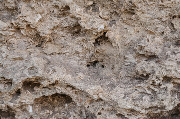 texture of sedimentary limestone rock with shells