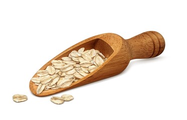 オートミール オーツ麦 イラスト リアル 