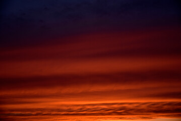 Red and blue evening sunset over the forest