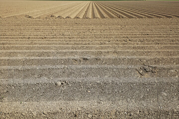 Closeup of prepared fresh plowed agricultural soil field with symmetrical arable farm land  furrows...