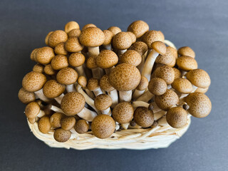 Fresh beige shimeji mushrooms in a wicker basket on a dark background.
