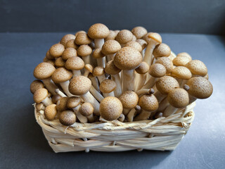 Fresh beige shimeji mushrooms in a wicker basket on a dark background.