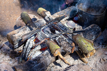 Big flame flutters in wind. Bonfire made of branches of fruit trees. Sawn apricot wood. Process of preparing coals for barbecue.