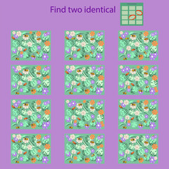 find two identical pictures with rebus bees for children under 10 years old