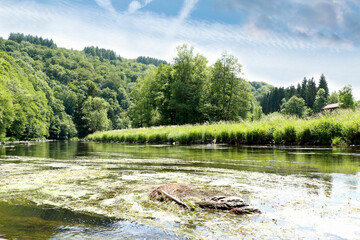 nature surrounding the River Semois, Belgium