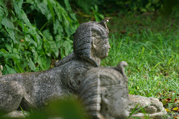 Selective focus shot of sphinxes with a lizard on their brow
