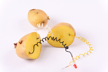 Potato battery on white background.  Alternative green energy generated from potatoes. 