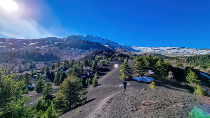Naklejka premium Man hiking around crater of Sartorio on volcanic landscape of volcano mount Etna, in Sicily, Italy, Europe. Pine and white birch trees growing on solidified lava, ash, pumice. Slopes covered with snow