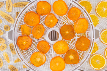electric dryer for fruits and vegetables, close-up, oranges, bananas and persimmons lie on a round grate