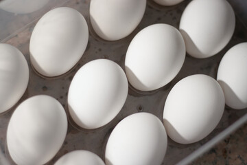 Healthy farm fresh white eggs stored in a egg trey box