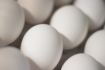 Healthy farm fresh white eggs stored in a egg trey box
