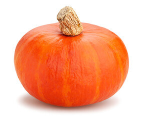 red kuri squash path isolated on white
