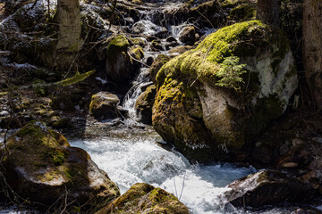 waterfall in the forest