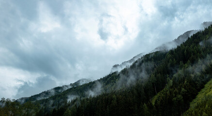 Niebla por las montañas 