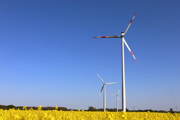 wind turbine in the field