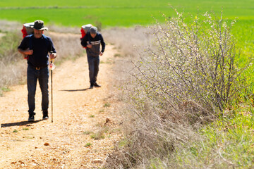 Way of St James , Camino de Santiago , pilgrims unfocuseds  to Compostela near Astorga, León city , Spain