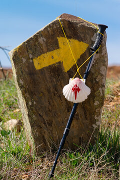 Way Of St James , Camino De Santiago ,shell And Yellow Arrow Signs  To Compostela , Galicia, Spain