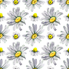 Seamless pattern flower white chamomile watercolor. Daisy flower buds. Natural background. Medical plant. Hand drawn botanical illustration. Fabric and packaging design.