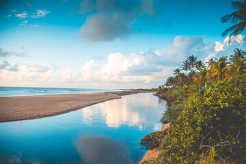 Brazilian beach paradise bahia nature