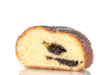 One slice of fragrant homemade poppy seed roll, macro, isolated on a white background.