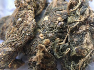 cannabis sativa hemp drug seeds made in india
