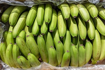 green baby bananas stacked in transport carton