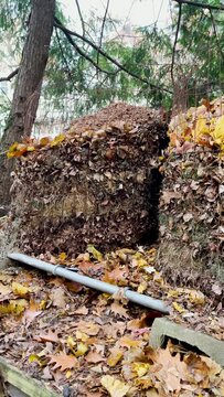 Outdoor Composting Bin in Autumn