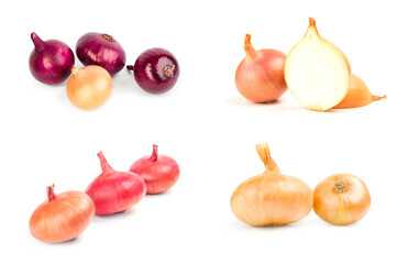 Collage of Onion over a white background