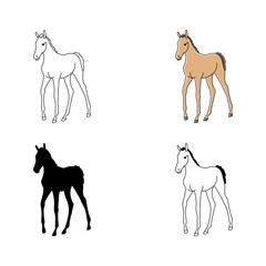 Warmblood foals isolated on white background. Flat cartoon vector illustration.