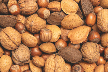 various edible nuts - obrazy, fototapety, plakaty