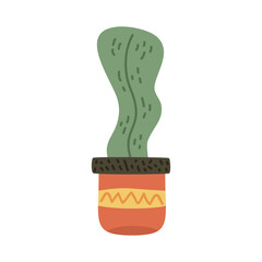 cactu houseplant in pot
