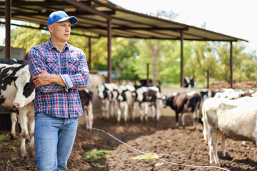 Man cowboy at cow farm ranch