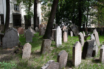 gravestones in a cemetery