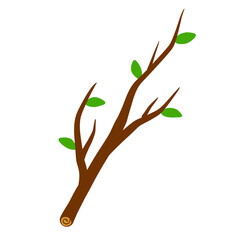 Tree branch with leaf on white background illustration.