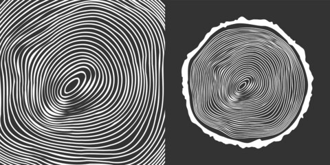 Round tree trunk cut, sawn pine or oak slice. Saw cut timber, wood. White wooden texture with tree rings. Hand drawn sketch. Vector illustration
