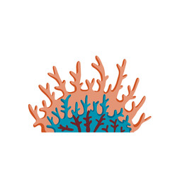 Obraz premium Corals on reef. Underwater plants. Exotic tropical undersea.