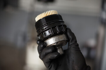 Car oil filter in the hands of a mechanic.