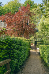 Path leading up to a house, garden with beautiful shrubs and trees