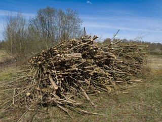 A stack of cut trees and shrubs from which to make chips.