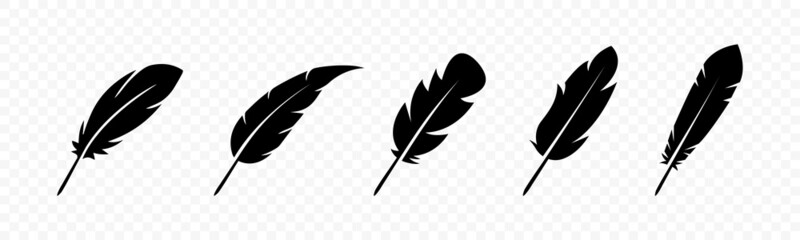 Bird feather icon silhouettes collection. Vector illustration. Flat isolated feather icons. Vector