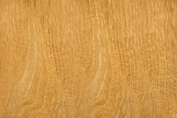 Natural Wood texture background in light color