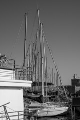 Obraz premium Boat masts in row in a sunny day.in Black and white.