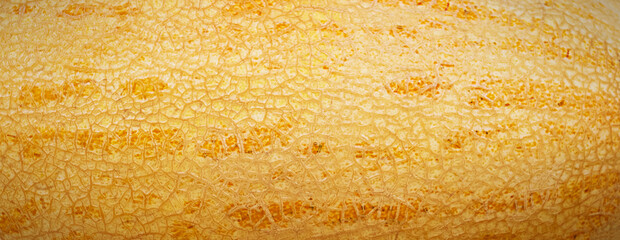 Abstract background of ripe melon shell