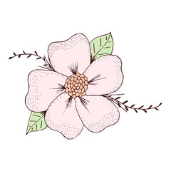 Isolated sketch of a flower Spring time Vector illustration