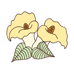 Isolated sketch of a flower Spring time Vector illustration